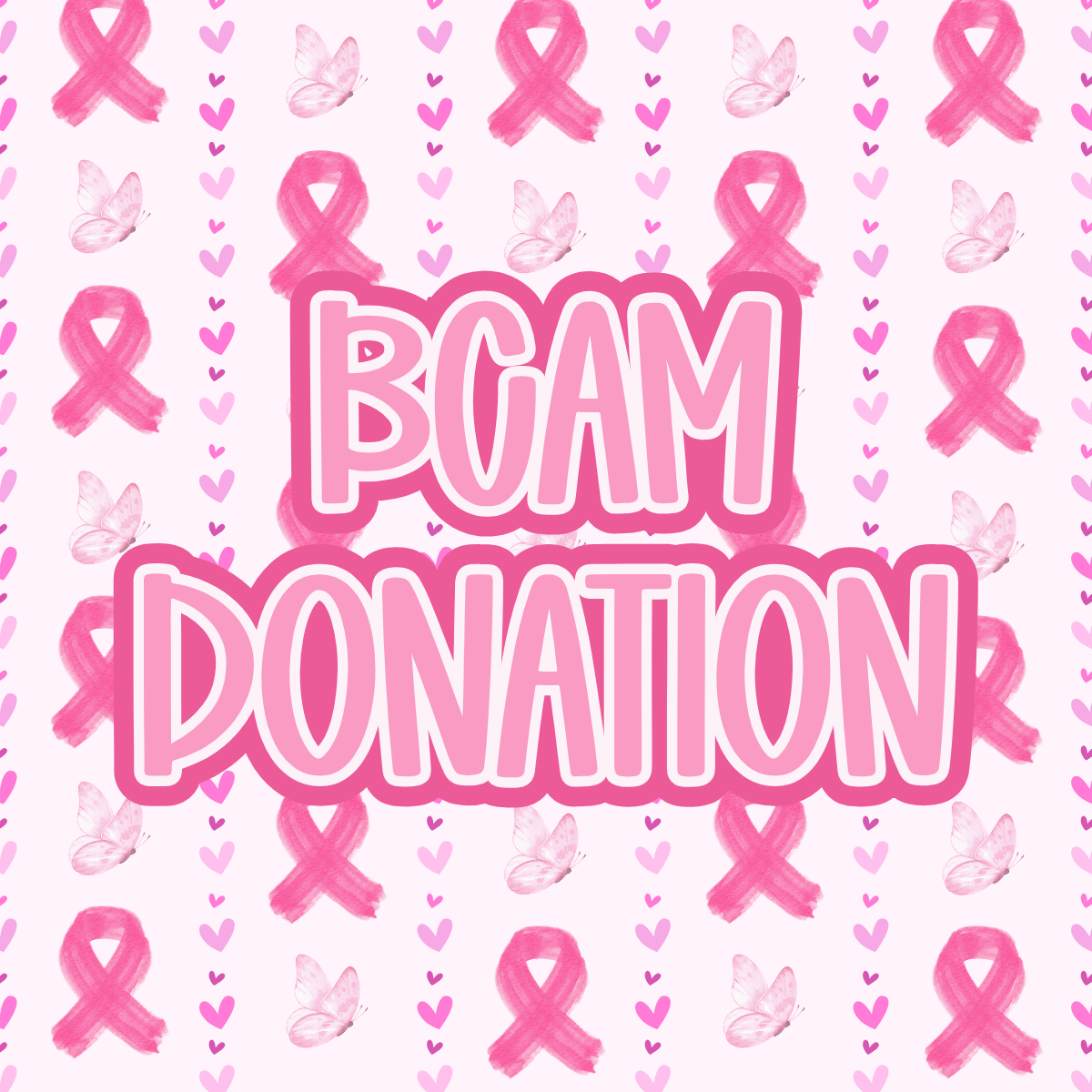 BCAM Additional Donation